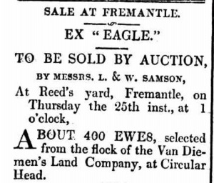 Sale of Sheep - Perth Gazette 20 Mar 1841