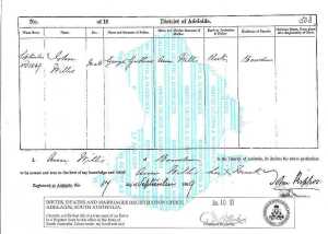 John Willis birth certificate